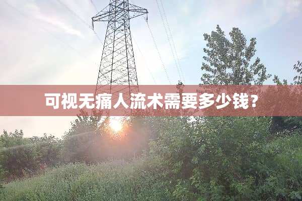 可视无痛人流术需要多少钱？