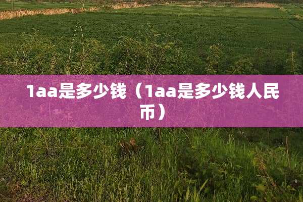1aa是多少钱（1aa是多少钱人民币）