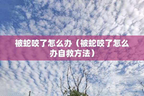 被蛇咬了怎么办（被蛇咬了怎么办自救方法）