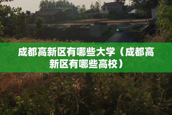 成都高新区有哪些大学（成都高新区有哪些高校）