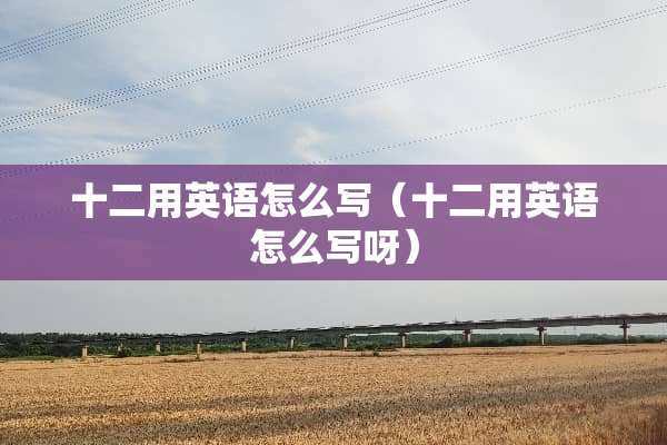 十二用英语怎么写（十二用英语怎么写呀）
