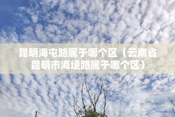 昆明海屯路属于哪个区（云南省昆明市海埂路属于哪个区）