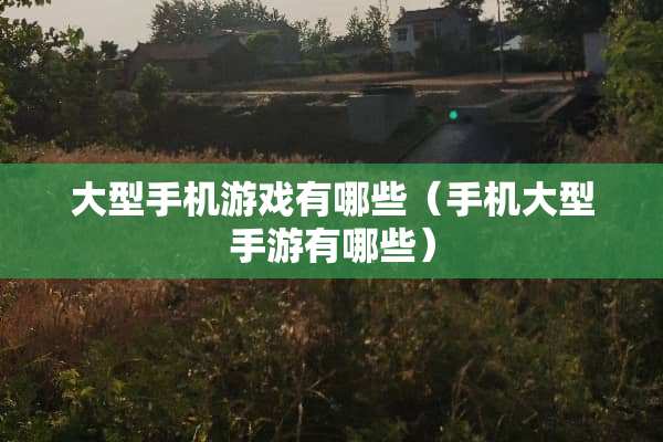 大型手机游戏有哪些（手机大型手游有哪些）