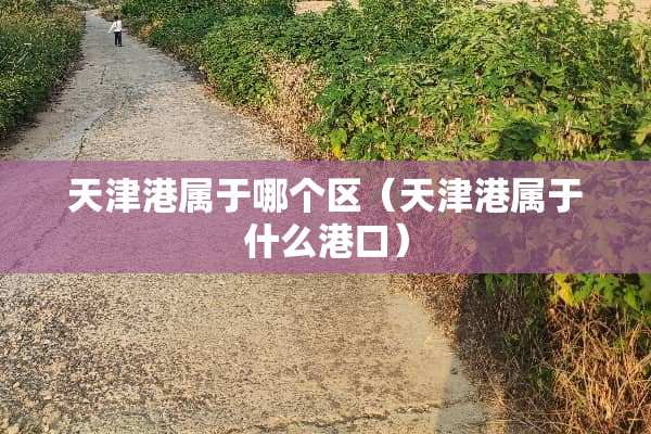 天津港属于哪个区（天津港属于什么港口）