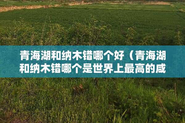 青海湖和纳木错哪个好（青海湖和纳木错哪个是世界上最高的咸水湖）