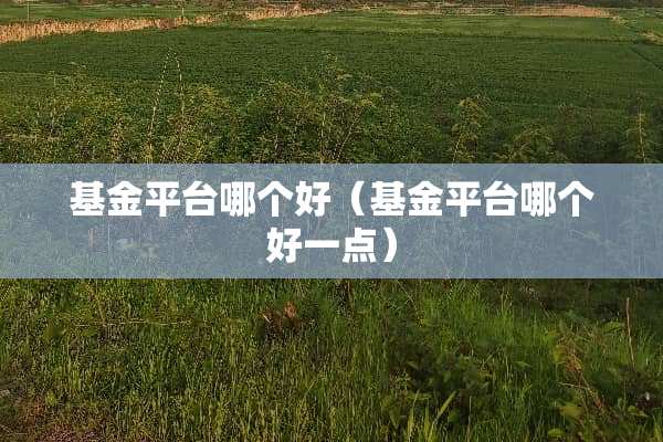 基金平台哪个好（基金平台哪个好一点）
