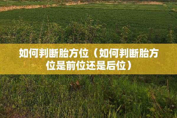 如何判断胎方位（如何判断胎方位是前位还是后位）