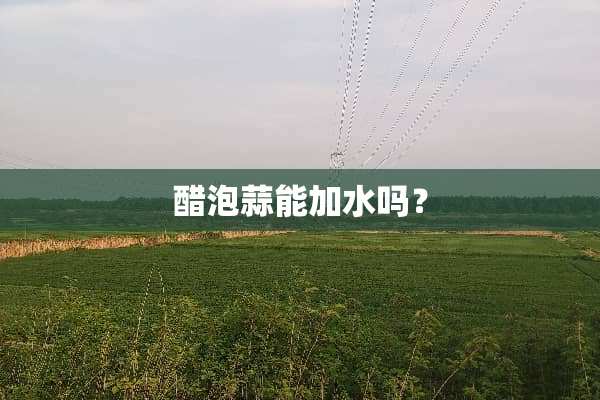 醋泡蒜能加水吗？