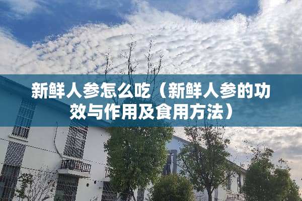 新鲜人参怎么吃（新鲜人参的功效与作用及食用方法）
