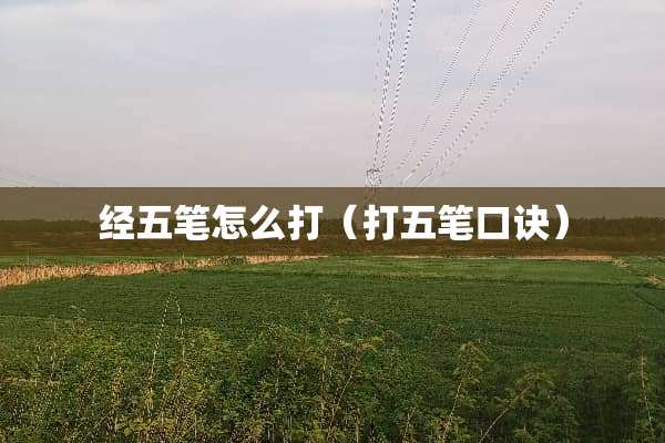 经五笔怎么打（打五笔口诀）