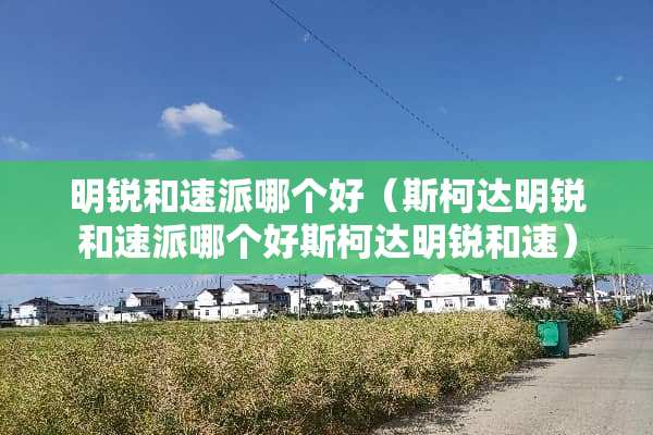 明锐和速派哪个好（斯柯达明锐和速派哪个好斯柯达明锐和速）