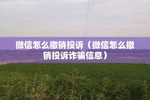 微信怎么撤销投诉（微信怎么撤销投诉**信息）