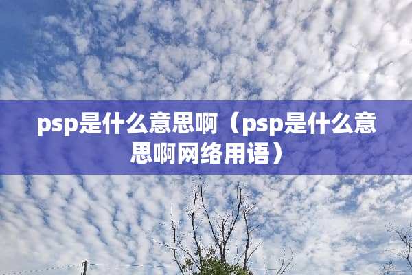 psp是什么意思啊（psp是什么意思啊网络用语）