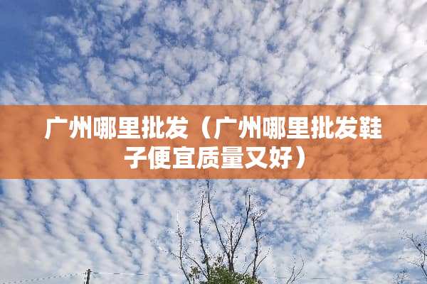 广州哪里批发（广州哪里批发鞋子便宜质量又好）