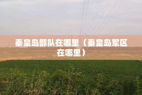 秦皇岛**在哪里（秦皇岛**在哪里）