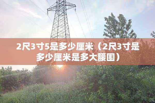 2尺3寸5是多少厘米（2尺3寸是多少厘米是多大腰围）