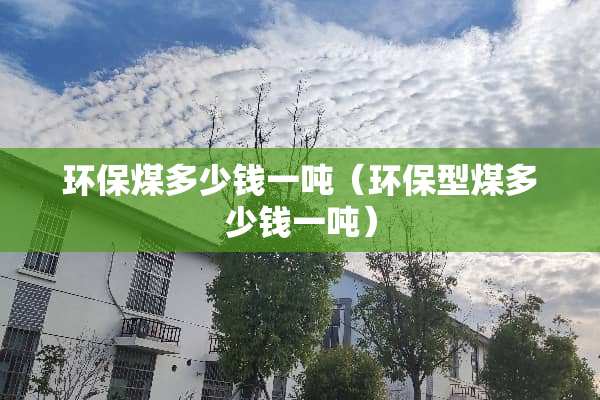 环保煤多少钱一吨（环保型煤多少钱一吨）