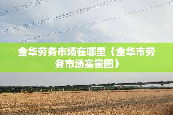金华劳务市场在哪里（金华市劳务市场实景图）
