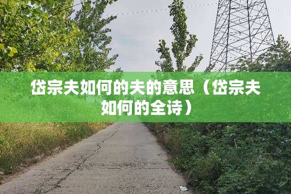 岱宗夫如何的夫的意思（岱宗夫如何的全诗）