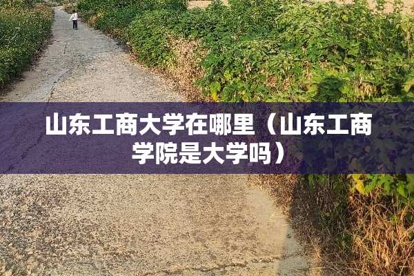 山东工商大学在哪里（山东工商学院是大学吗）