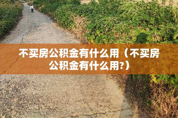 不买房公积金有什么用（不买房公积金有什么用?）