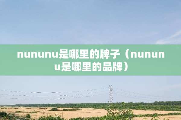 nununu是哪里的牌子（nununu是哪里的品牌）