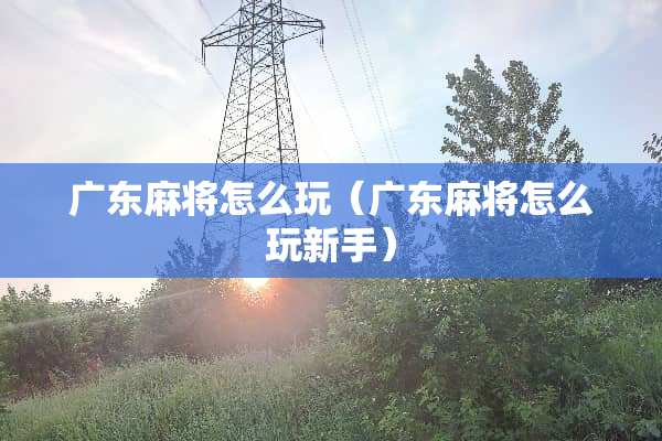 广东**怎么玩（广东**怎么玩新手）