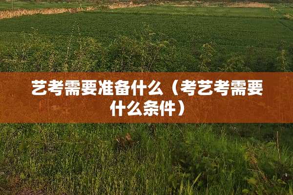 艺考需要准备什么（考艺考需要什么条件）