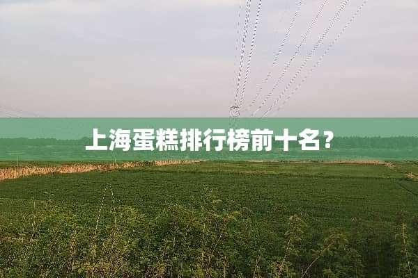 上海蛋糕排行榜前十名？