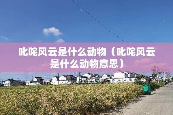 **风云是什么动物（**风云是什么动物意思）