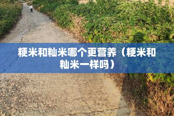 粳米和籼米哪个更营养（粳米和籼米一样吗）