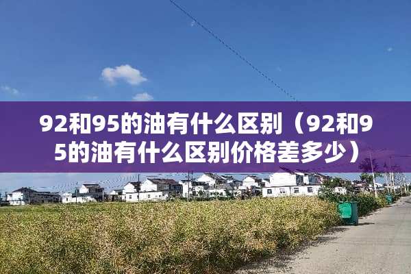 92和95的油有什么区别（92和95的油有什么区别价格差多少）
