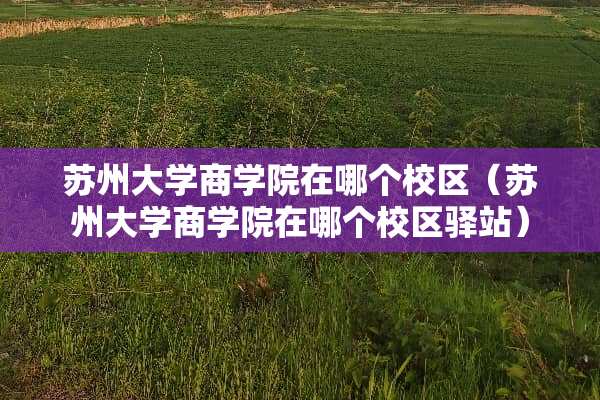 苏州大学商学院在哪个校区（苏州大学商学院在哪个校区驿站）