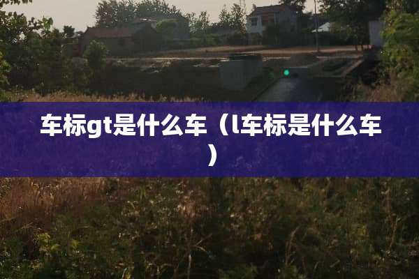 车标gt是什么车（l车标是什么车）