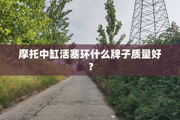 摩托中缸活塞环什么牌子质量好？