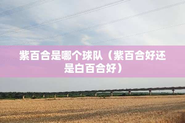 紫百合是哪个球队（紫百合好还是白百合好）