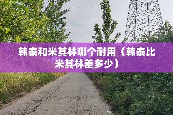 韩泰和米其林哪个耐用（韩泰比米其林差多少）
