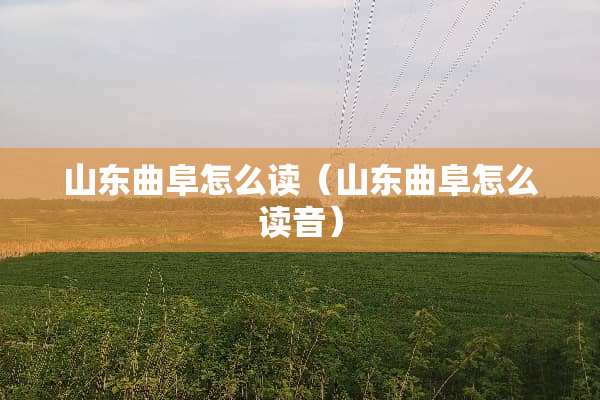 山东曲阜怎么读（山东曲阜怎么读音）