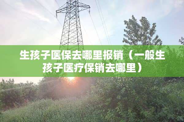 生孩子医保去哪里报销（一般生孩子医疗保销去哪里）