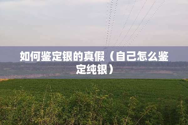 如何鉴定银的真假（自己怎么鉴定纯银）