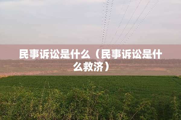 民事诉讼是什么（民事诉讼是什么救济）
