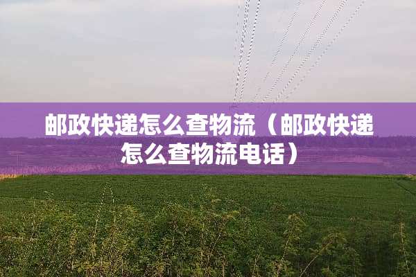 邮政快递怎么查物流（邮政快递怎么查物流电话）