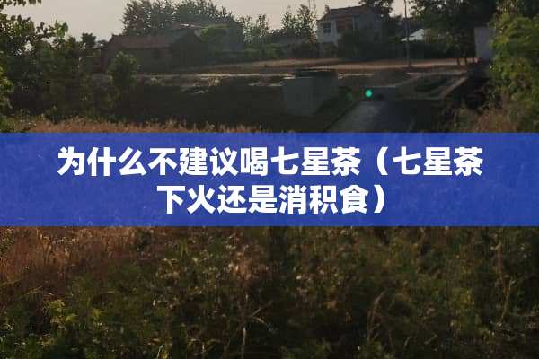 为什么不建议喝七星茶（七星茶下火还是消积食）