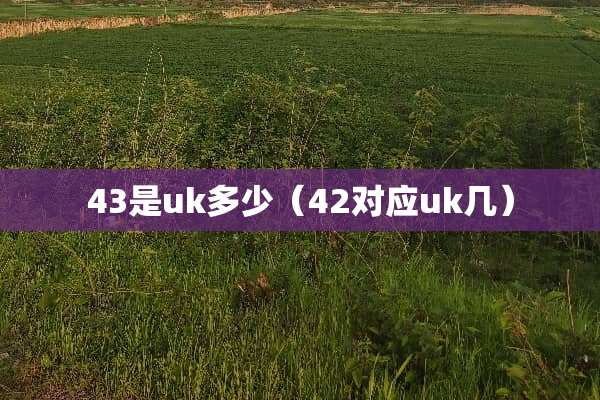 43是uk多少（42对应uk几）