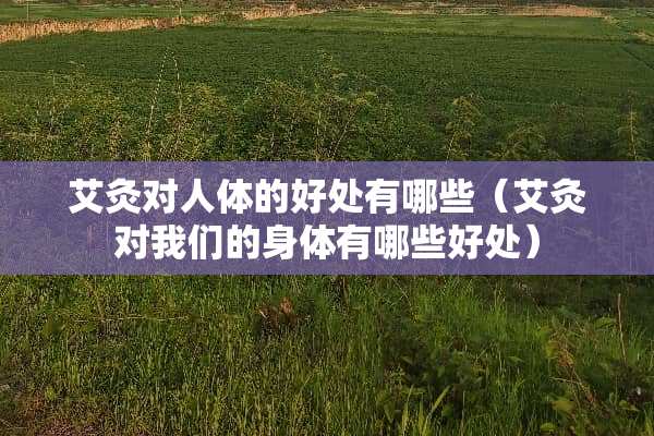 艾灸对人体的好处有哪些（艾灸对我们的身体有哪些好处）