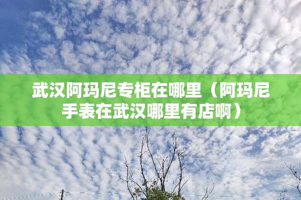 武汉阿玛尼专柜在哪里（阿玛尼手表在武汉哪里有店啊）