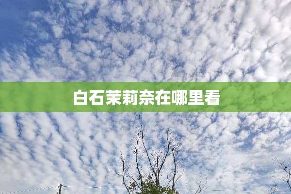 白石茉莉奈在哪里看