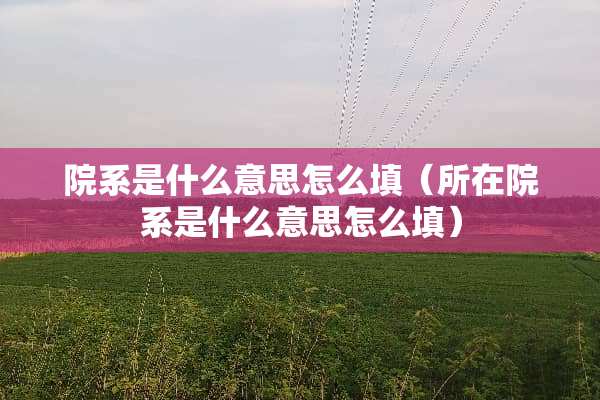 院系是什么意思怎么填（所在院系是什么意思怎么填）