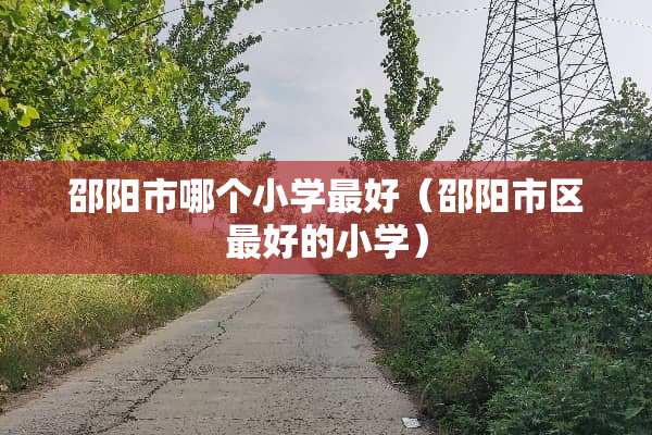 邵阳市哪个小学最好（邵阳市区最好的小学）