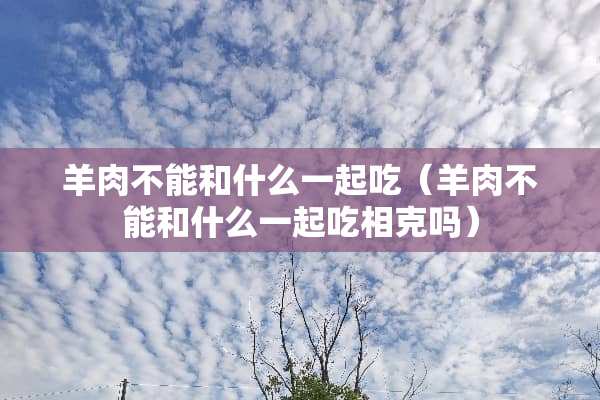 羊肉不能和什么一起吃（羊肉不能和什么一起吃相克吗）